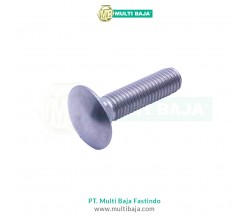 Stainless Steel : SUS 304 Baut Payung (Carriage Bolt) DIN603